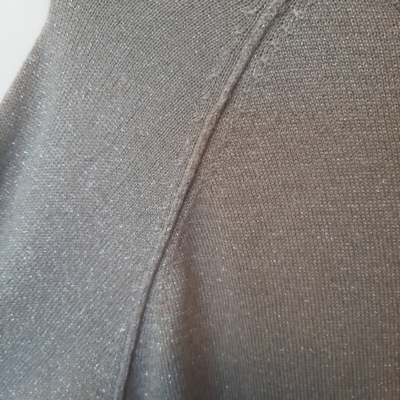 Samantha Brown Silver Metallic Knit Sweater - Picture 7 of 8
